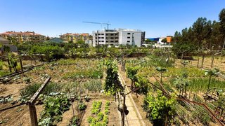 Land for sale in Entroncamento, Portugal — €215,000