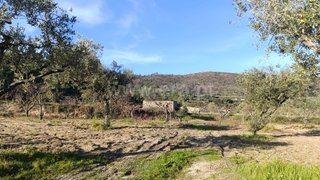 Land for sale in Fundão, Portugal — €38,000