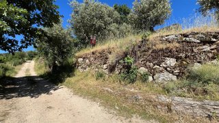 Land for sale in Celorico da Beira, Portugal — €14,000