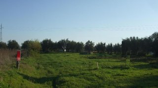 Land for sale in Cantanhede, Portugal