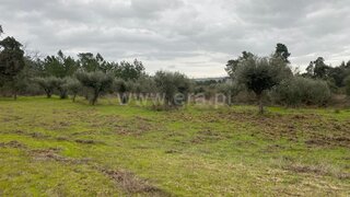 Land for sale in Fundão, Portugal — €27,500