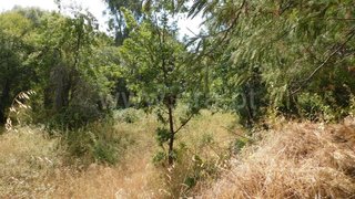 Land for sale in Fundão, Portugal — €16,000