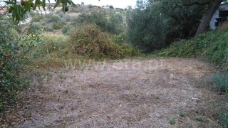 Land for sale in Torres Novas, Portugal — €37,000