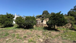 Land for sale in Sardoal, Portugal