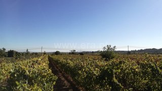 Land for sale in Cantanhede, Portugal — €26,000