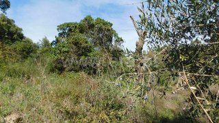 Land for sale in Fundão, Portugal — €17,500