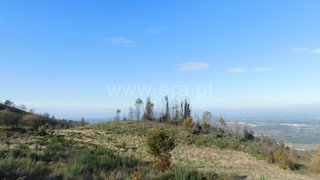 Land for sale in Seia, Portugal — €20,000