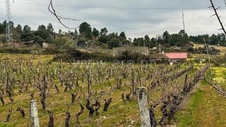 Land for sale in Pinhel, Portugal — €200,000