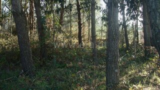Land for sale in Cantanhede, Portugal — €55,000