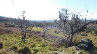 Land for sale in Seia, Portugal — €25,000