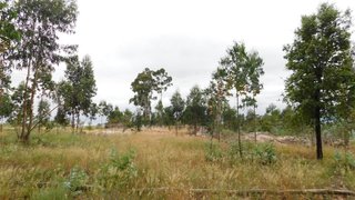 Land for sale in Seia, Portugal — €30,000