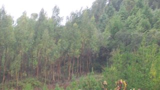 Land for sale in Montemor-o-Velho, Portugal — €40,000