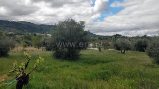 Land for sale in Fundão, Portugal — €77,500