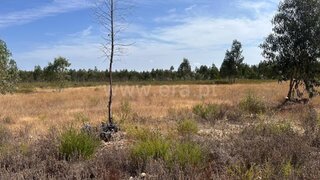 Land for sale in Salvaterra de Magos, Portugal — €50,000