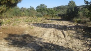 Land for sale in Penamacor, Portugal — €3,500
