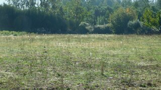 Land for sale in Seia, Portugal — €45,000