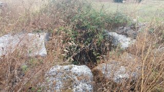 Land for sale in Torres Novas, Portugal — €55,000