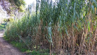 Land for sale in Figueira da Foz, Portugal — €20,000