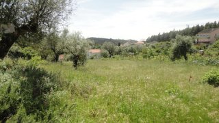 Terreno em Coimbra