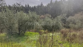 Land for sale in Ourém, Portugal — €7,000