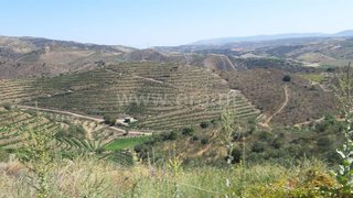 Land for sale in Mêda, Portugal — €22,000