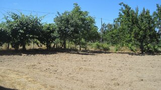 Land for sale in Montemor-o-Velho, Portugal