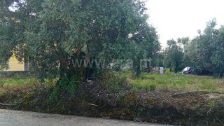 Terreno para venda em Cantanhede, Portugal — 38 000 €