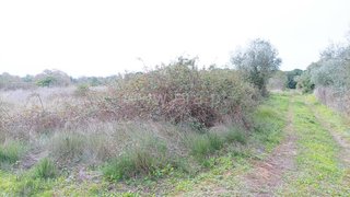 Land for sale in Cartaxo, Portugal — €27,500