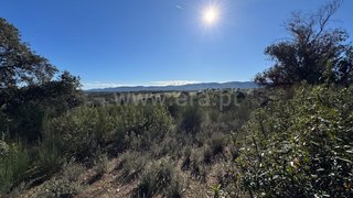 Land for sale in Penamacor, Portugal — €17,500