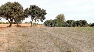 Land for sale in Santarém, Portugal — €36,500