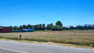 Land for sale in Montemor-o-Velho, Portugal — €55,000