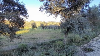 Land for sale in Torres Novas, Portugal — €12,500