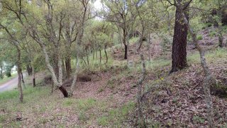 Land for sale in Ourém, Portugal — €30,000