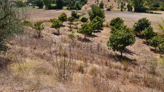 Terreno para venda em Santarém, Portugal — 30 000 €