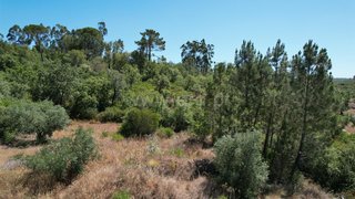 Land for sale in Ourém, Portugal — €12,000