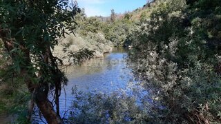Land for sale in Oliveira do Hospital, Portugal — €155,000