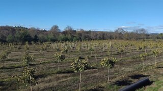 Land for sale in Penamacor, Portugal — €650,000