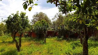 Land for sale in Tomar, Portugal — €70,000