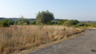 Land for sale in Torres Novas, Portugal — €20,000