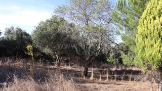 Land for sale in Ourém, Portugal — €89,000