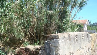 Land for sale in Montemor-o-Velho, Portugal — €35,000