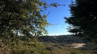 Land for sale in Tomar, Portugal — €37,000