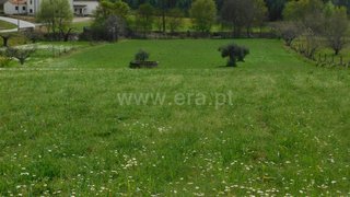 Terreno de 7350 m² em Fundão