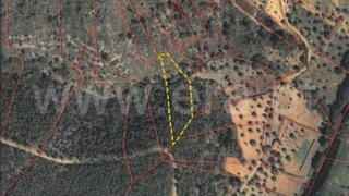 Terreno de 1240 m² em Castelo Branco