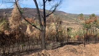 Land for sale in Fundão, Portugal — €12,500