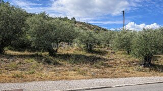Land for sale in Alcanena, Portugal — €44,500