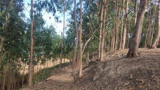 Land for sale in Figueira da Foz, Portugal — €12,000