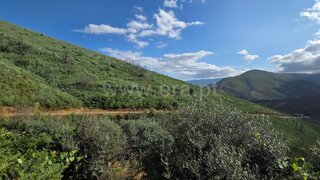 Terreno em Manteigas