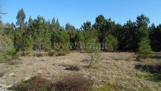 Land for sale in Cantanhede, Portugal — €40,000