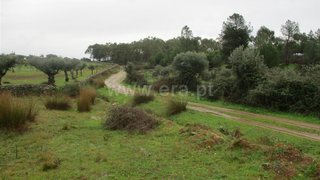 Terreno em Castelo Branco · 8750 m² · 12 500 €